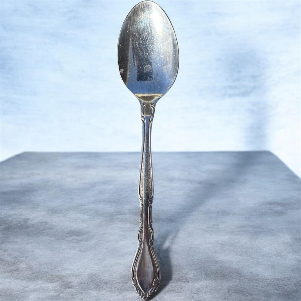 Rogers‎ AUBERGE Teaspoon Spoon 6" Satin Stainless Flatware Silverware